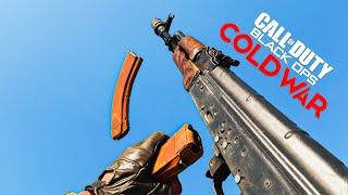 Call of Duty : Black Ops Cold War - All Weapon Reload Animations [ 2020 - 2023 ]