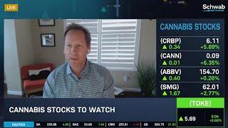 GTI, TOKE: Cannabis Stocks To Watch