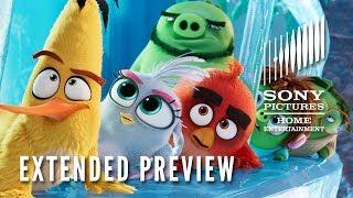 The Angry Birds Movie 2: Extended Preview