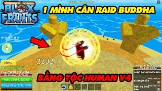 Thử 1 Mình Cân Raid Buddha Bằng Tộc Human V4 || Blox Fruits!