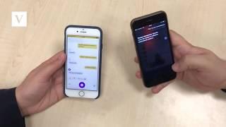 Алиса vs Siri Женские баттлы - Яндекс против Apple - Siri обиделась 