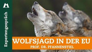 Wolf: EU will Schutzstatus herabsetzen | Wolfsjagd in Deutschland | FFH-Richtlinie | Raubwild