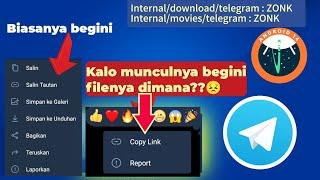 Cara munculin di galeri file download dari Telegram Android 14