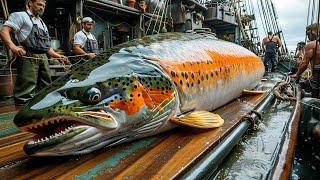 American fishermen catch catch millions of salmon this way - Longline Fishing for salmon in Alaska