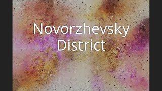 Novorzhevsky District