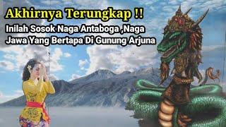 Akhirnya Terungkap !! Inilah Sosok Naga Antaboga ,Naga Jawa Yang Bertapa Di Gunung Arjuna 