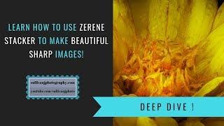 Learn Zerene Stacker to Make Beautiful Sharp Images