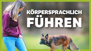 Den Hund immer RICHTIG LEITEN: So gelingt es dir durch Körpersprache [einfach und präzise]