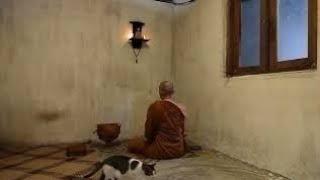 Ratana Sutta LIVE SUNRISE PŪJĀ BUDDHIST CHANTING, MEDITATION & BLESSINGS