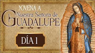 Novena a Nuestra Señora de Guadalupe Día 1 con el Padre Javier Marín