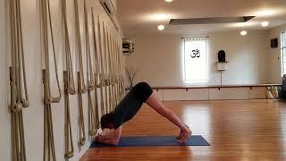 Sirsasana (headstand) preparation