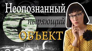 Всё, что вам нужно (и не нужно) знать о Лох-Несском чудовище