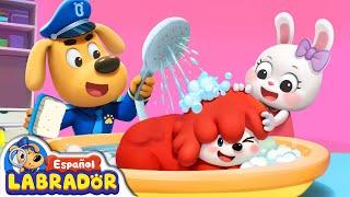 Sheriff Labrador - Mi Mascota No Quiere Bañarse  | Videos para Niños | BabyBus en Español