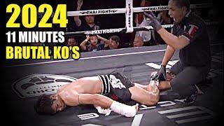 11 Minutes of Brutal MMA KO's of 2024 !