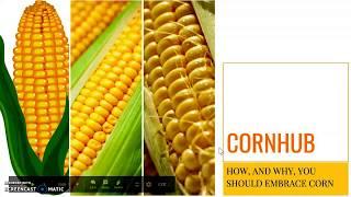 Cornhub Introduction