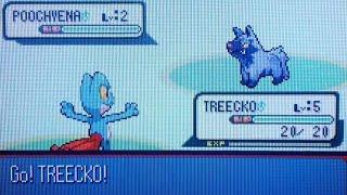 I soft reset over a shiny Treecko