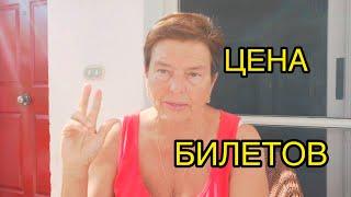 САМЫЙ ДЕШЕВЫЙ ПУТЬ ИЗ УКРАИНЫ ДО ЕГИПТА В 2024 ГОДУ. ПО КАКОЙ ЦЕНЕ МОЖНО КУПИТЬ БИЛЕТЫ?