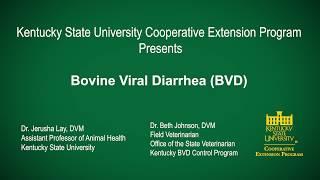 Bovine Viral Diarrhea BVD- May 2020 4th Wednesday Workshop