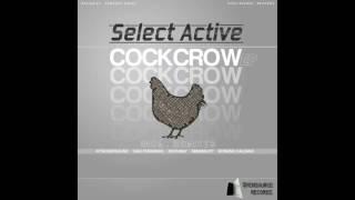 Select Active - Cockcrow (Romano Caldana Remix)