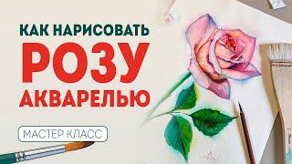 КАК НАРИСОВАТЬ РОЗУ? Цветы акварелью - мастер класс по рисованию.