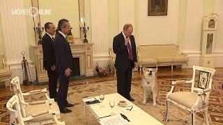 Собака Путина и японцы - как это было