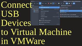 Problem connecting USB device to Guest OS - VMware | Using USB Devices in a Virtual Machine - VMware