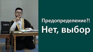 Предопределение?! Нет, выбор