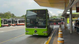 SMRT Buses Mercedes-Benz OC500LE (Batch 1) SMB67T on Feeder 301