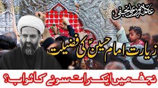 ZIYARAT IMAM HUSSAIN (as) KI FAZILAT || ALLAMA ANWAR ALI NAJAFI ||