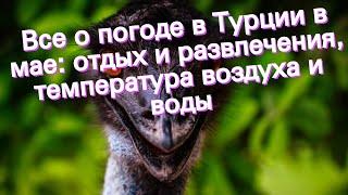 Все о погоде в Турции в мае: отдых и развлечения, температура воздуха и воды