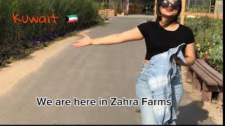 Zahra Farms Kuwait / mini vlog /by mix creations