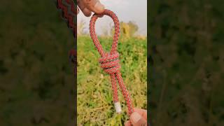 Easy rope tie / how to turn knot / big knots tying #shorts