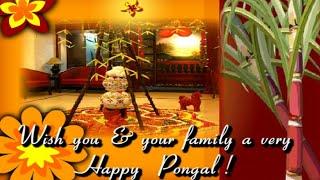 Happy Pongal 2021| Pongal whatsapp status 2021 | Pongal wishes| Pongal status video | #shorts