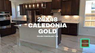 Caledonia Gold Polished Porcelain Tile 24x48