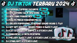 DJ TIKTOK TERBARU 2024||DJ TUMPAH TUMPAH SUSUNYA AYO SAYANG CULIK AKU DONG VIRAL TIKTOK FULL ALBUM