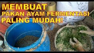 Membuat pakan Fermentasi untuk ayam