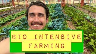 Bio-intensive Farming: what is it? And how to do it