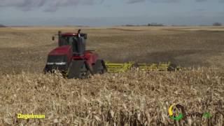 Degelman Pro-Till High Performance Tillage Cultivator Corn Field