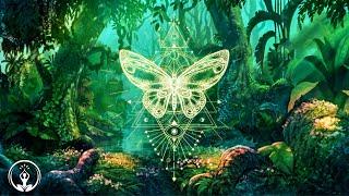 EL EFECTO MARIPOSA ⁂ Eleva tu Vibración ⁂ Limpieza de Aura Positiva ⁂ Música 432Hz