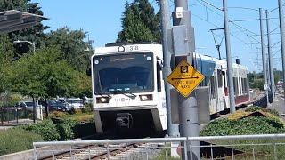 trimet max trains in SE 17th Ave station(3)