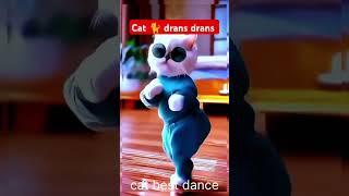 Ai cat best dance #shot #trending#short#viral short #Rk cat cut drans #short