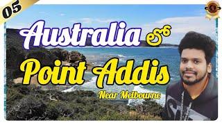 Point Addis | Melbourne | Lookout Points in Australia | Melbourne Places to Visit | Geelong