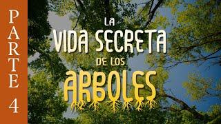 La Vida Secreta de los Árboles | RELACIÓN CON SERES HUMANOS