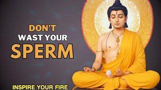 Don't Waste Your Sperm || Only Boys Should Watch this || Buddha Best Motivational Story