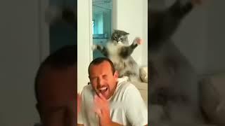 #funny #foryou #cat #cute #for #shortvideo #funnyvideo