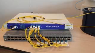 8 x 100G DWDM EDFAMUX