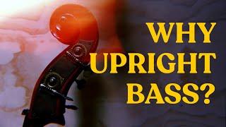 UPRIGHT BASS: What Electric Bassists Need to Know