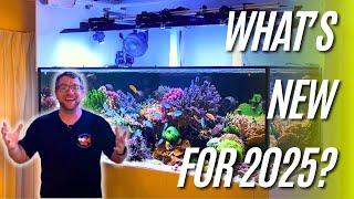 New Year, New Reefing! Dream Reef Tank Plans for 2025