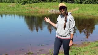 Living Lab - Atlantic: Creating New Wetlands