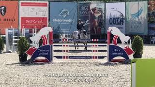 VDL Friso SMH 2010 gelding (Bugatti X Chin Chin)  7 years old class CSI*** Bonheinden.